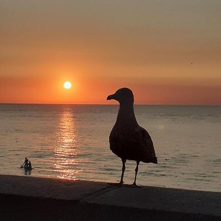 Camping Les Falaises De Toussaint Buitenkant foto