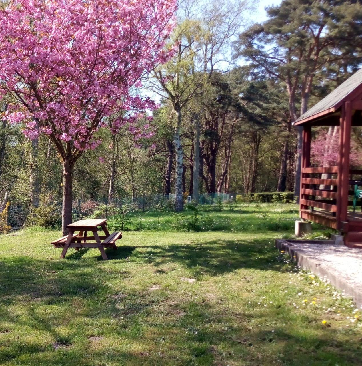 Camping Les Falaises De Toussaint Buitenkant foto